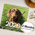 2026 Themed Dog Calendar Creative Animal Calendar Work Plan Calendar Suitable For Bedroom living Room Placement