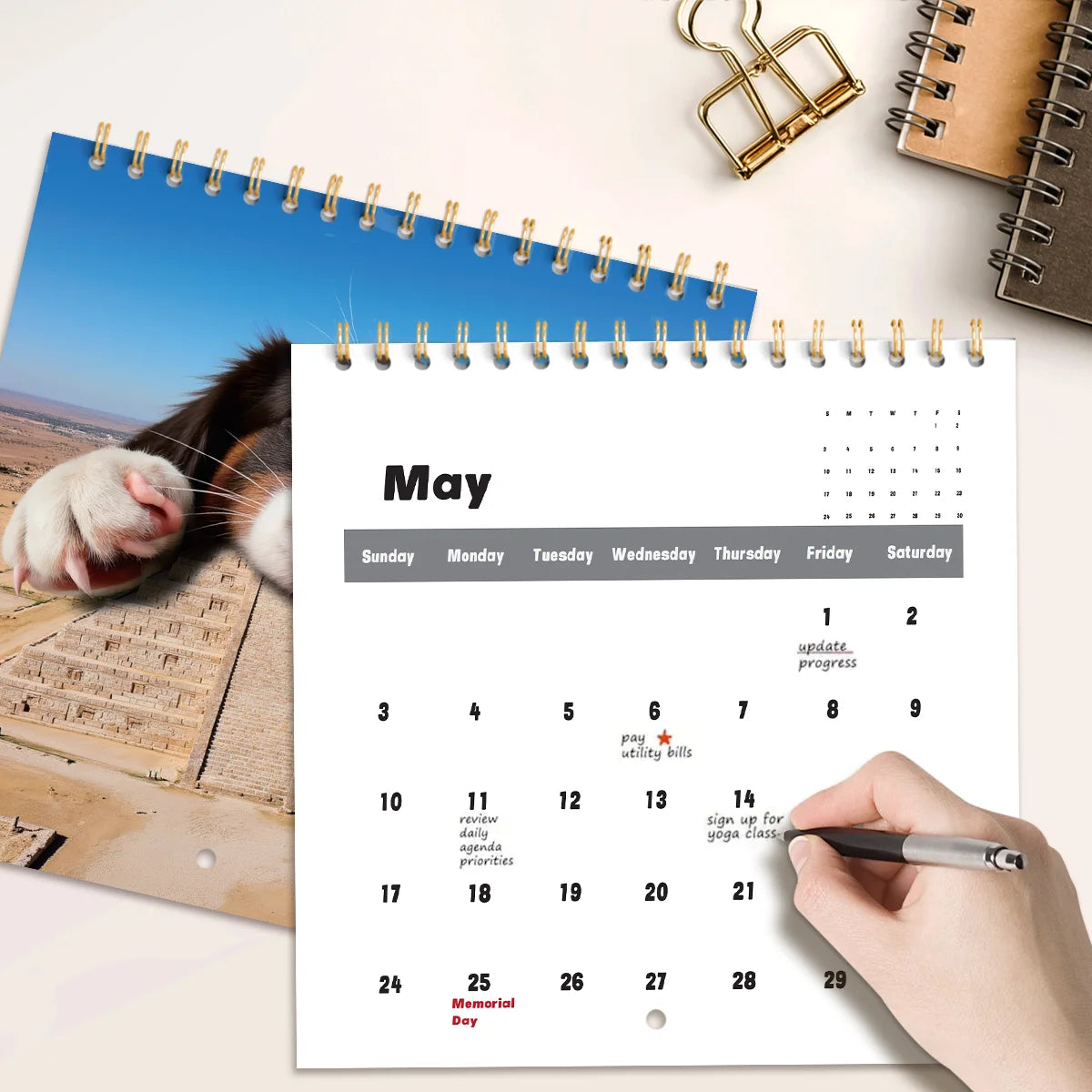 12 Month 2026 Calendar Square Daily Weekly Monthly Planner Fantastic Colors Wall Calendar Cartoon Animal Calendar Home Decor ﻿